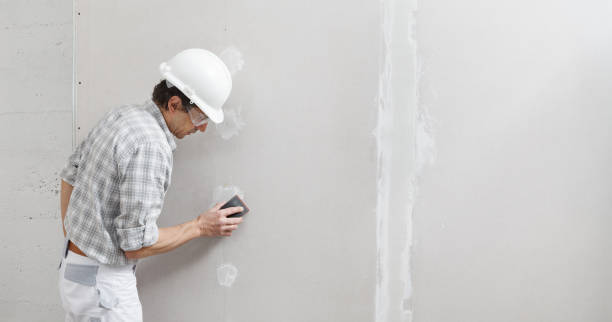 Best Eco-Friendly and Low-VOC Painting  in Harbison Nyon, CA